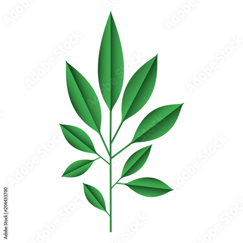 branch with leafs decorative icon vector illustration design