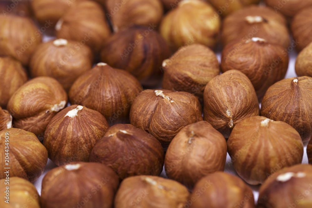 Hazelnut pile closeup. Hazelnut photo background. Organic food fresh banner template. Hazelnut pile closeup. Hazelnut photo background. Organic food fresh banner template.