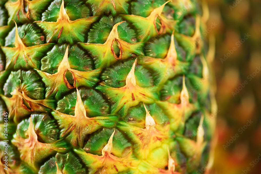 Texture of pineapple skin. Copy space. Beauty and diet concept. Macro shoot of pineapple fruit. Texture of pineapple skin. Copy space. Beauty and diet concept. Macro shoot of pineapple fruit.