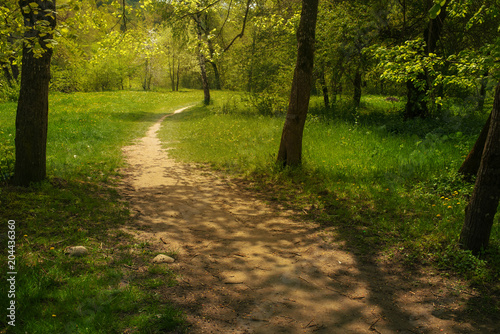 Summer Park. Spring nature.