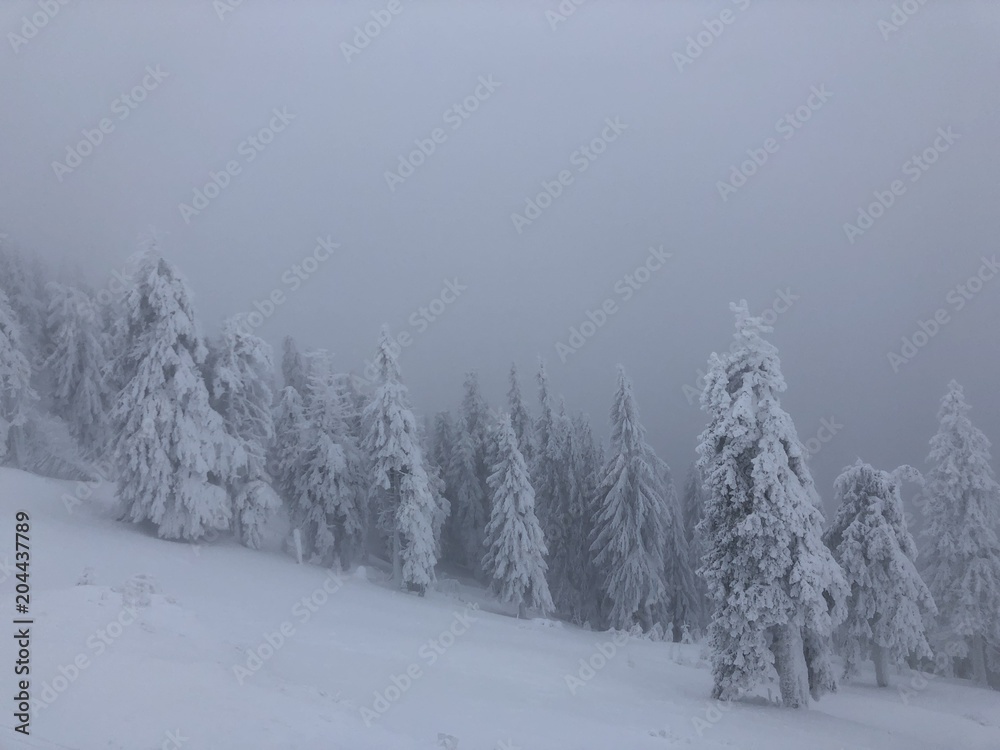 Fototapeta smartphone image of winter landscape with a lot of snow