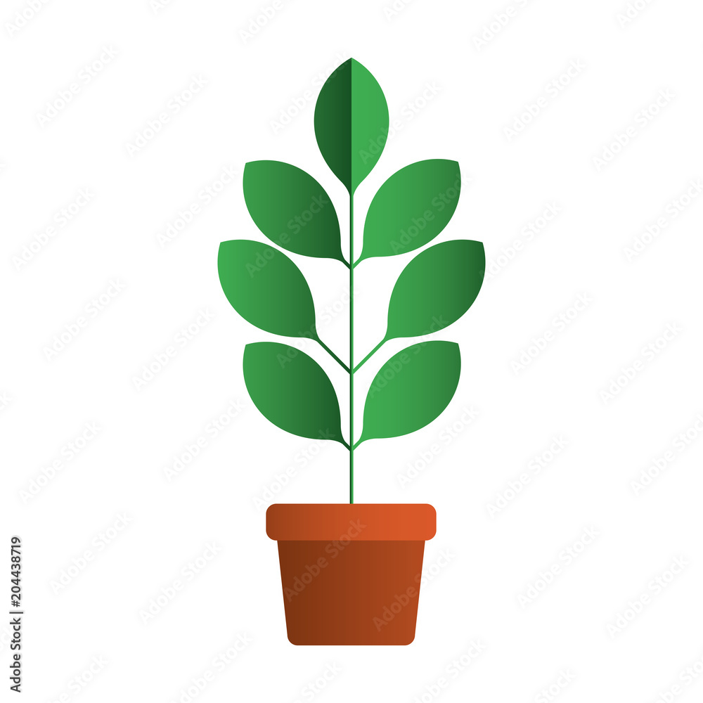 leafs plant in pot decorative icon vector illustration design leafs plant in pot decorative icon vector illustration design
