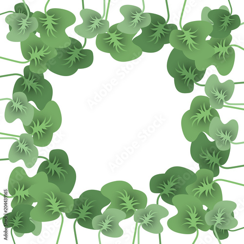 leafs plant frame pattern vector illustration design