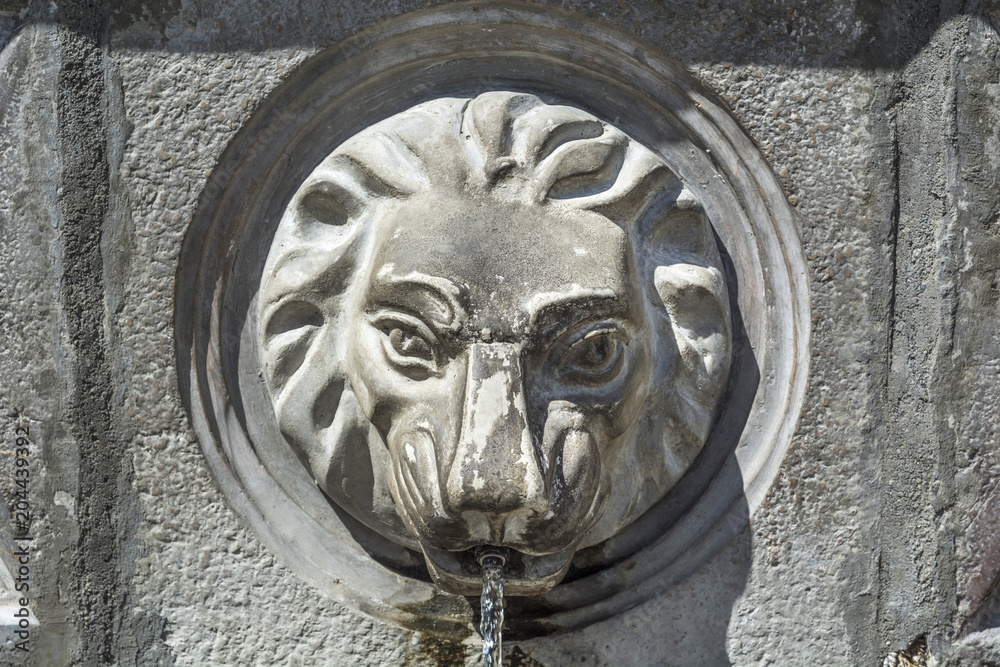 Street faucet with a lion head and water on sunny day, close up