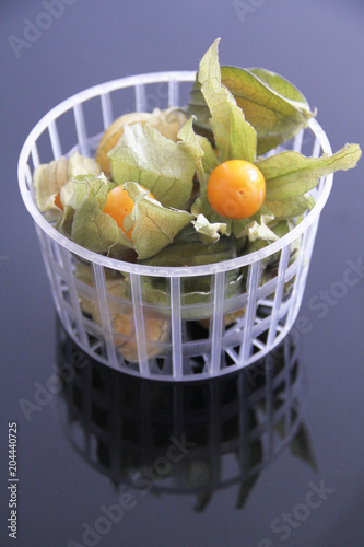 Physalis, Sao Paulo, Brasil  photo