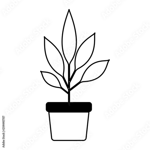 leafs plant in pot decorative icon vector illustration design