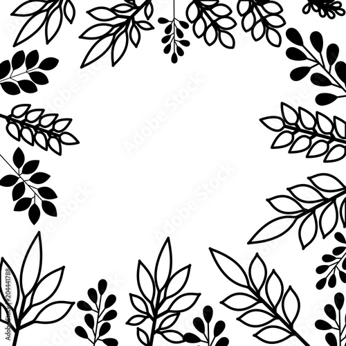 leafs plant frame pattern vector illustration design © grgroup