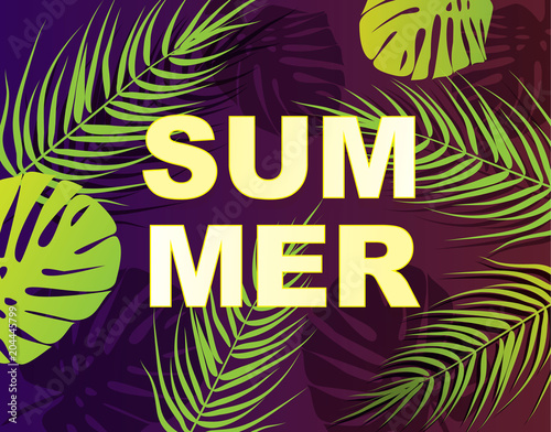 Summer sale tropical colorful background with exotic palm leaves and monsters.