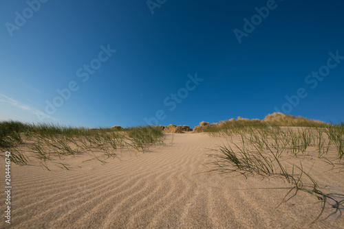 Cornish sand dunes 