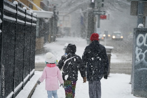 Snowy Morning