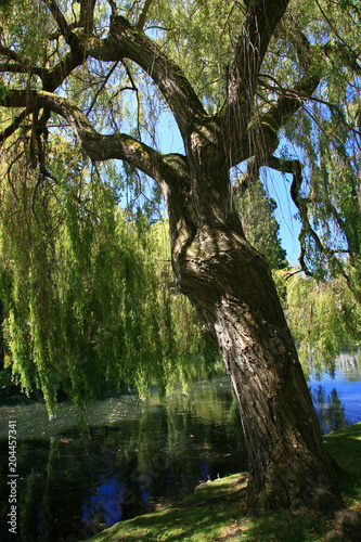 Beacon Hill Park  Victoria  BC  Canada