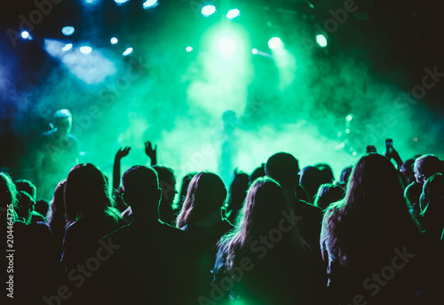 Concert crowd of fans