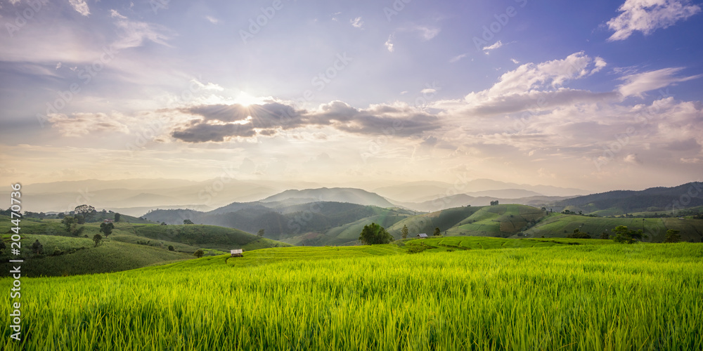 Fototapeta premium Beautiful green rice terraces in Doi Inthanon National Park, Thailand.