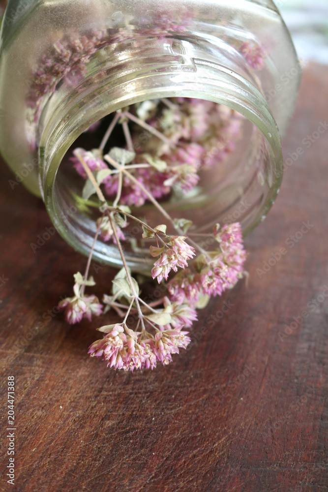 Dried oregano - a perennial plant popular in Italy, called oregano
Dried oregano - a perennial plant popular in Italy, called oregano