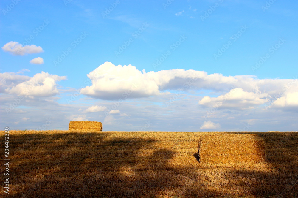 Hay in square bales in summer on a yellow field against the horizon and beautiful blue sky with clouds - rural landscape, harvesting, fodder