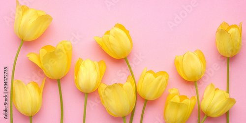 Yellow tulip flowers on a pink background, top view, flat layout. concept summer, spring, holiday March 8, mother's day.