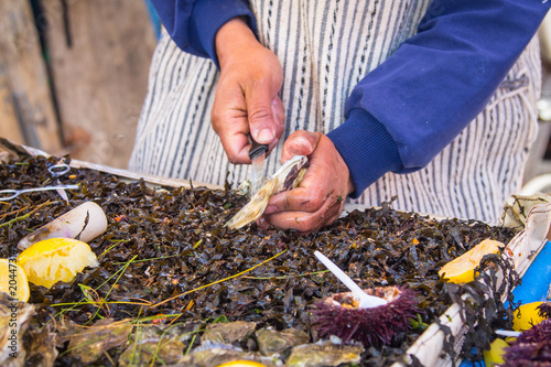 The seller of oysters rips a small knife shell of the malyus at the fish market in Essaouira.