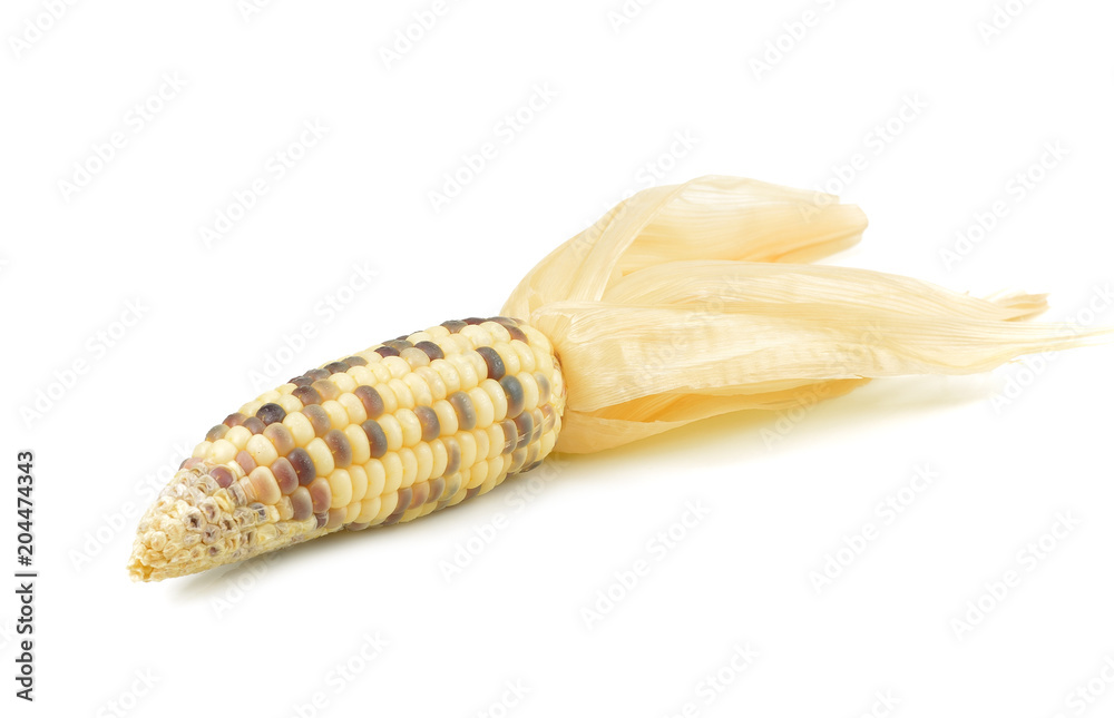 Fresh raw corn cobs isolated on the white background Fresh raw corn cobs isolated on the white background