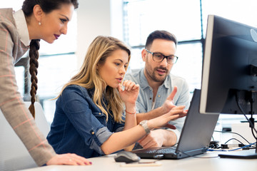 Group of business people and software developers working as a team in office