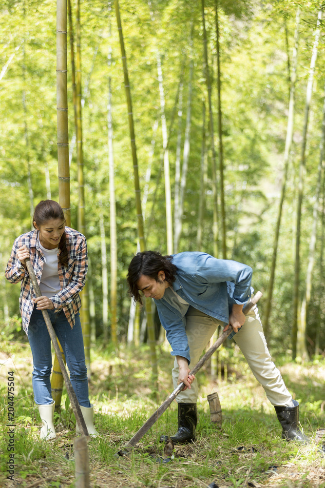 Fototapeta premium 筍を掘るカップル