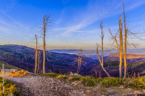 Hiking trail in the Silesian Beskids, Poland photo