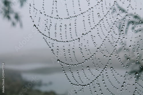 Drops on the web