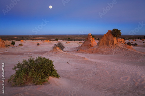 Desert landscape at dawn photo