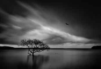 Aluminium schilderij Zwart wit Storm over Salamander Bay  © Leah-Anne Thompson
