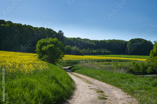 Frühling Spaziergang Felder photo