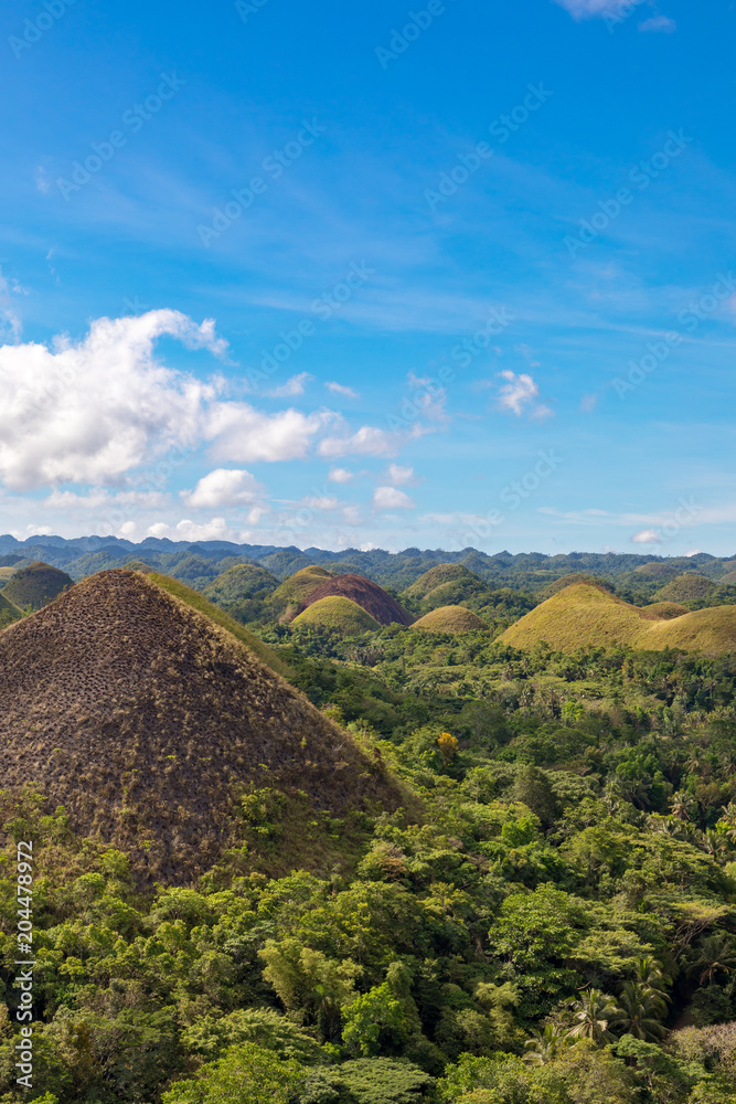 Fototapeta premium Bohol, Philippines