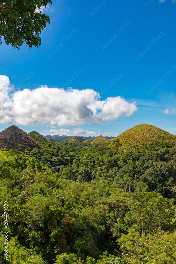 Fototapeta premium Bohol, Philippines
