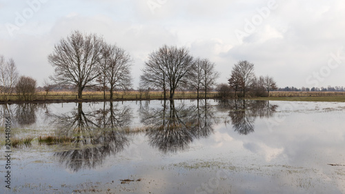 water marsh landscape