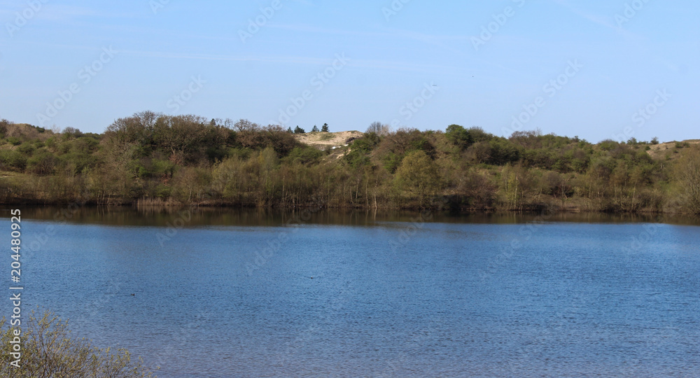 landscape dunes with lake, national park kennemerland, in the Netherland, during spring landscape dunes with lake, national park kennemerland, in the Netherland, during spring