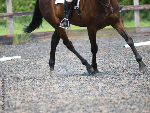 Dressage Abstract