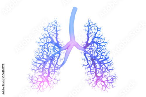 Obraz na plátne Human lungs anatomy