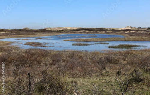 landscape dunes with lake, national park kennemerland, in the Netherland, during spring