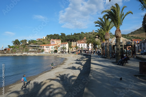 Collioure city, Langedoc-Roussillon, France photo