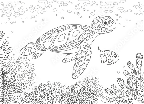 Funny sea loggerhead turtle...