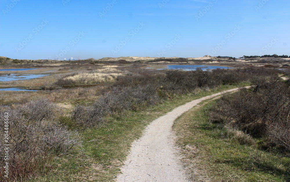 Dunes landscape, national park kennemerland zuid in the Netherlands, during spring