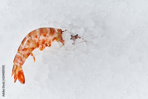 Sea food. Different types of Shrimp  snails  shellfish  fish  crabs that lie on the ice. Fresh seafood.