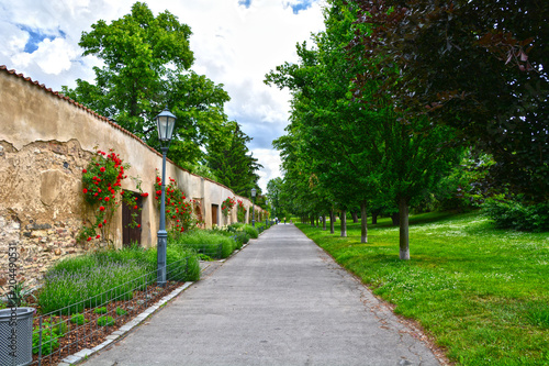 Romantic alley from Vyšehrad