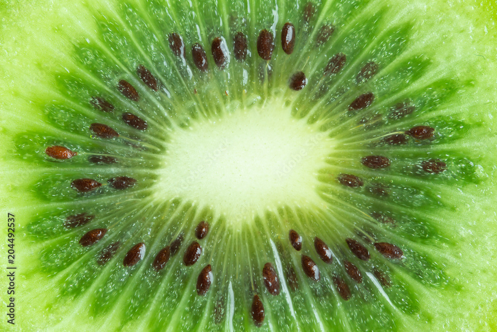 Fresh and juicy kiwi fruit with cross section cut in close up view macro concept to present pattern and texture for background. Kiwi have sweet and sour taste have high vitamin c and antioxidant. Fresh and juicy kiwi fruit with cross section cut in close up view macro concept to present pattern and texture for background. Kiwi have sweet and sour taste have high vitamin c and antioxidant.