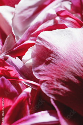 background with flowers
