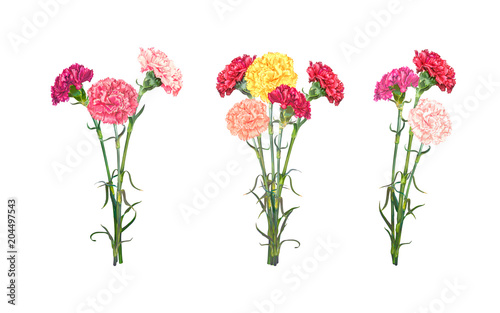 Set of three bouquets of colorful realistic Carnations isolated on white background. Vector illustration, EPS10 format.