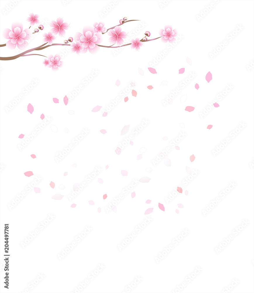 Branch of sakura. Cherry blossom and flying petals isolated on White background. Petals in shape of Heart. Vector Branch of sakura. Cherry blossom and flying petals isolated on White background. Petals in shape of Heart. Vector