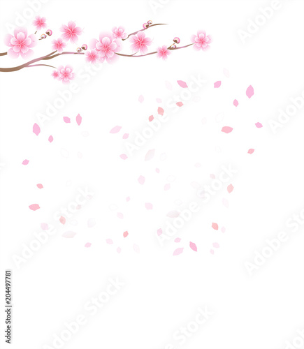 Branch of sakura. Cherry blossom and flying petals isolated on White background. Petals in shape of Heart. Vector