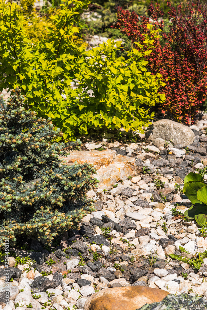 Landscape design, an element of rockery - a beautiful composition of stones and plants Landscape design, an element of rockery - a beautiful composition of stones and plants