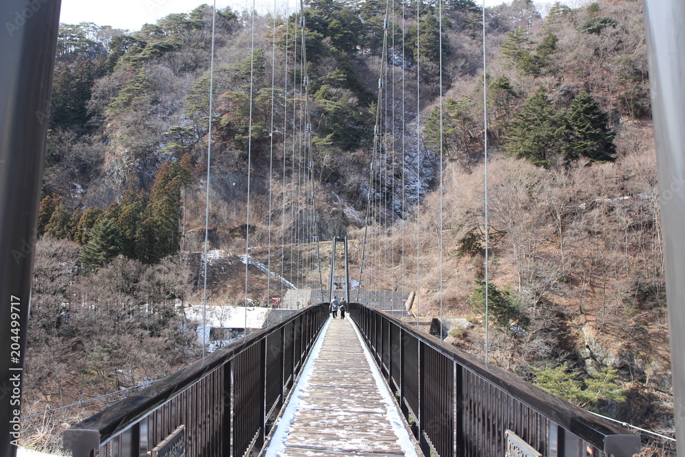 Obraz premium 鬼怒盾岩大吊橋