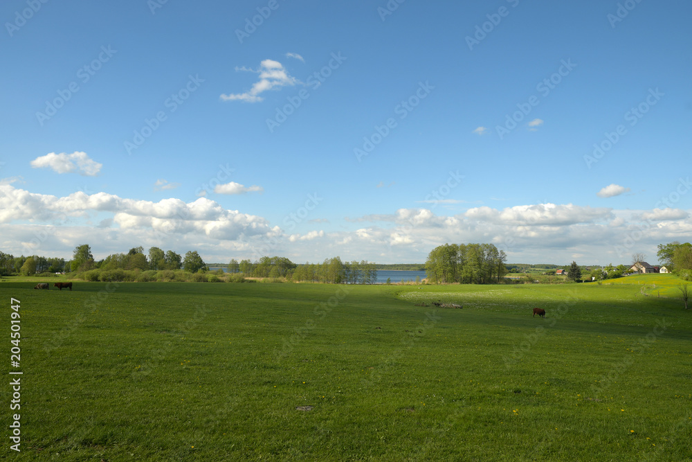 grimnitzsee