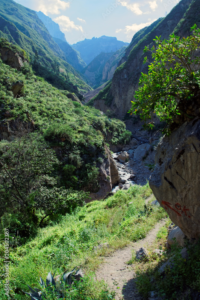 Colca Canyon in Arequipa Region Hiking Peru